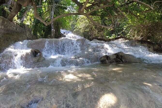 Falmouth to Ocho Rios Guided Tour (Dunn's River Falls & Shopping) - What to Expect from the Tour