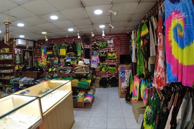 Falmouth to Ocho Rios Guided Tour (Dunn's River Falls & Shopping) - Who Should Book This Tour?