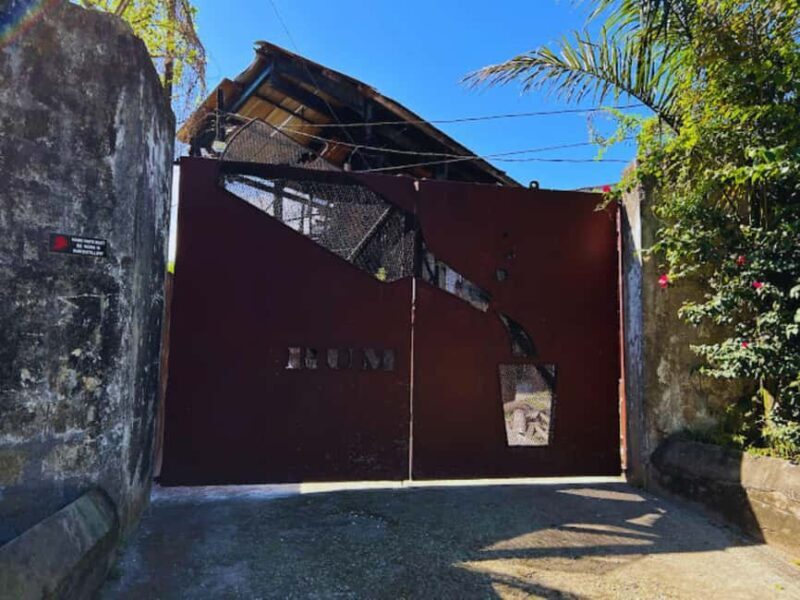 Falmouth Tour: Hampden Estate Rum Tasting Tour - Practical Tips for Visitors