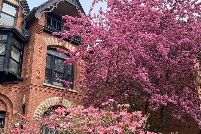 Fame and Folly in Victorian Cabbagetown - The Sum Up: Who Should Consider This Tour?