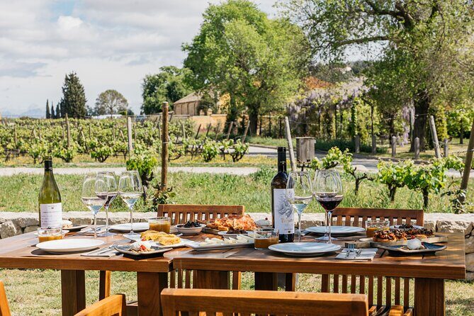 Familia Torres Winery: Gastronomic Tapas & Wine Experience - Who Will Love This Tour?