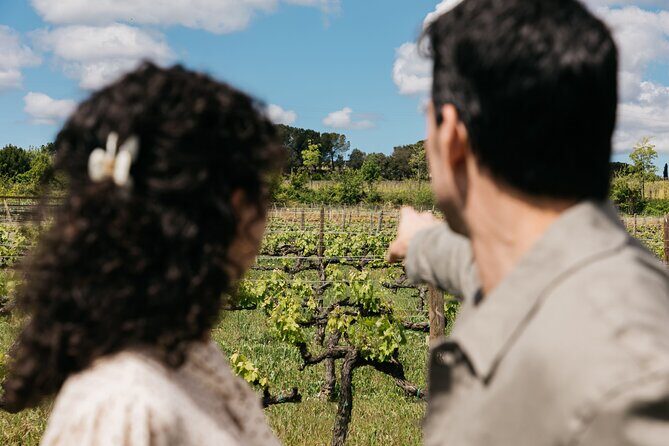 Familia Torres Winery: Gastronomic Tapas & Wine Experience - In Closing