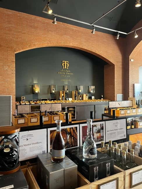 Familia Torres Winery: Gastronomic Tapas & Wine Experience - The Tasting and Gastronomic Experience