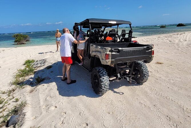 Family Adventure Buggy - Key Points