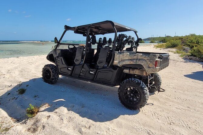 Family Adventure Buggy - The Authenticity and Practicalities