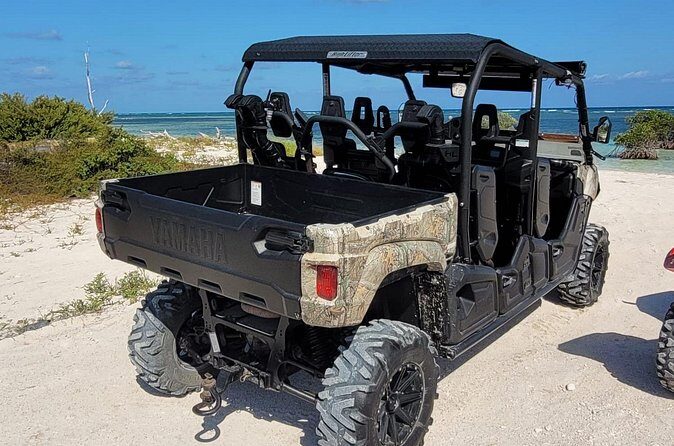 Family Adventure Buggy - Who Should Consider This Tour?