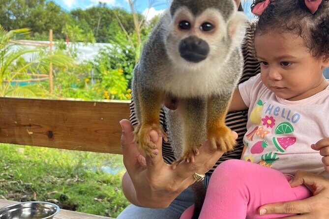 Family ATV Tour & Monkey Private Van - Pricing and Value