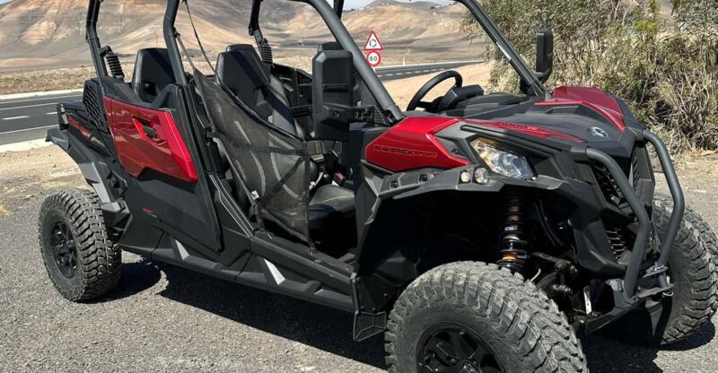 Family Buggy - 4 Seats, on Road Tour - Tour Experience