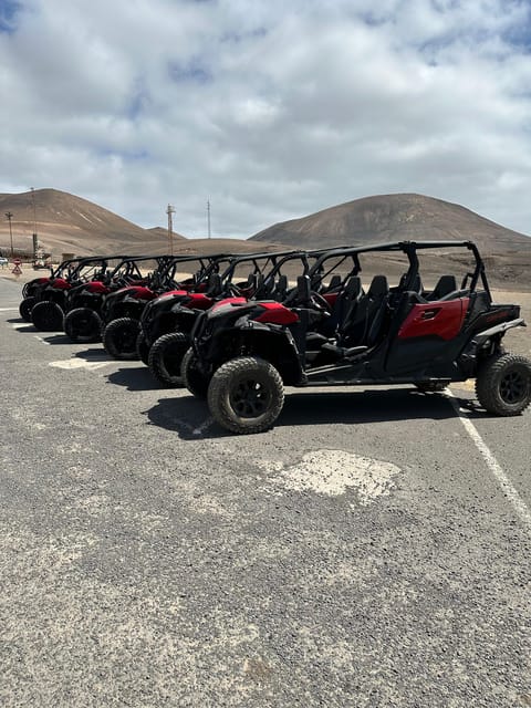 Family Buggy - 4 Seats, on Road Tour - Frequently Asked Questions