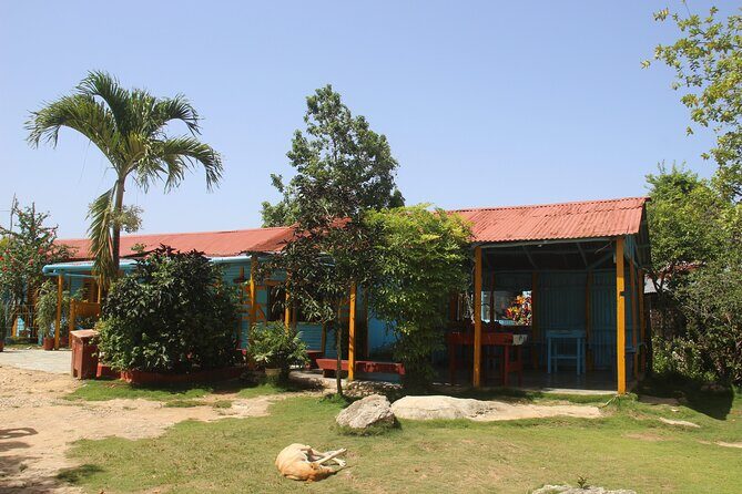 Family Buggy Adventure in Punta Cana - The Sum Up