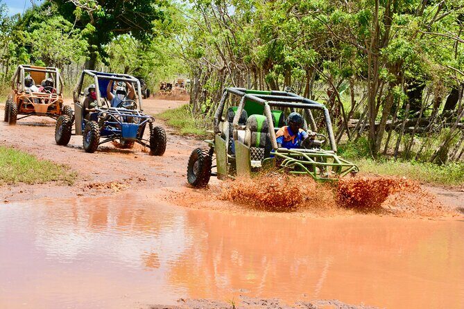 Family Buggy Adventure in Punta Cana  Up to 4 People per Vehicle - Who Should Consider This Tour?