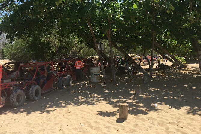 Family, Buggy Adventures, Tours, Macao Beach. Lowest Price. - Final Thoughts