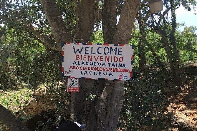 Family, Buggy Adventures, Tours, Macao Beach. Lowest Price. - FAQs