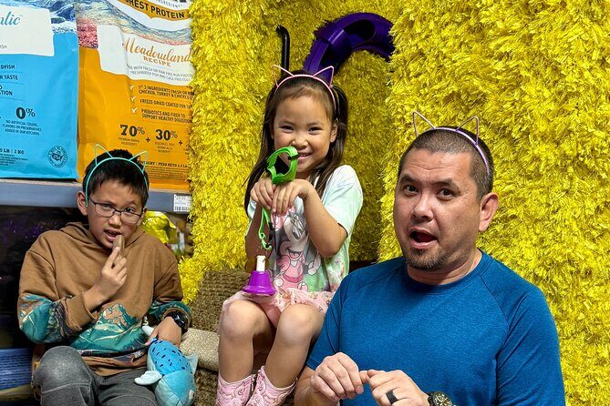 Family Cat Adventure Escape Room - What is the Experience Really About?