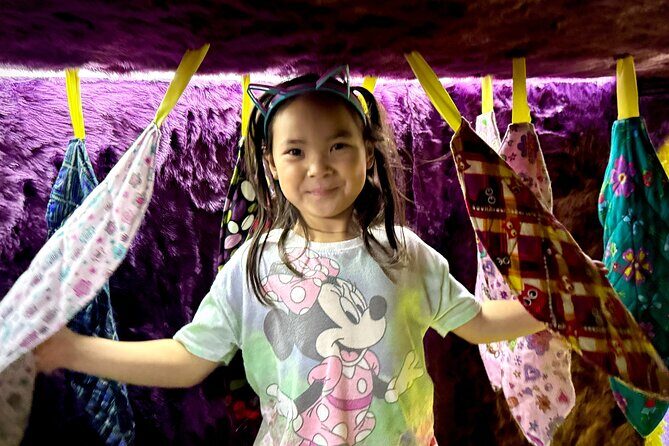 Family Cat Adventure Escape Room - What’s Included and How It Works