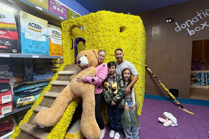 Family Cat Adventure Escape Room - The Puzzle Challenge