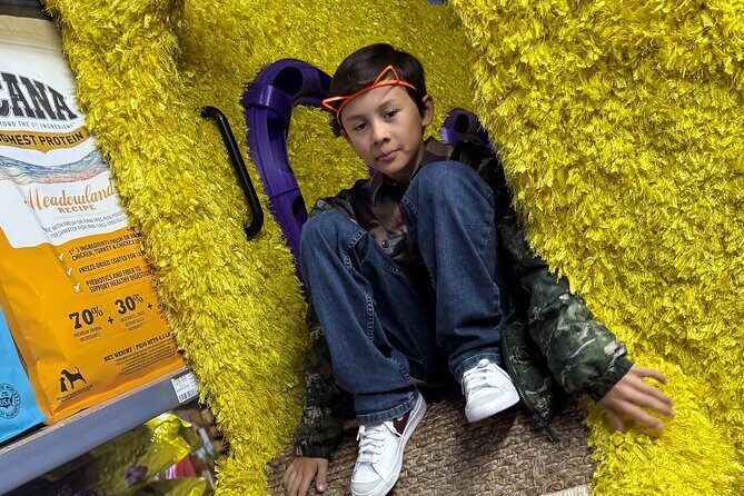 Family Cat Adventure Escape Room - Family and Children’s Experience