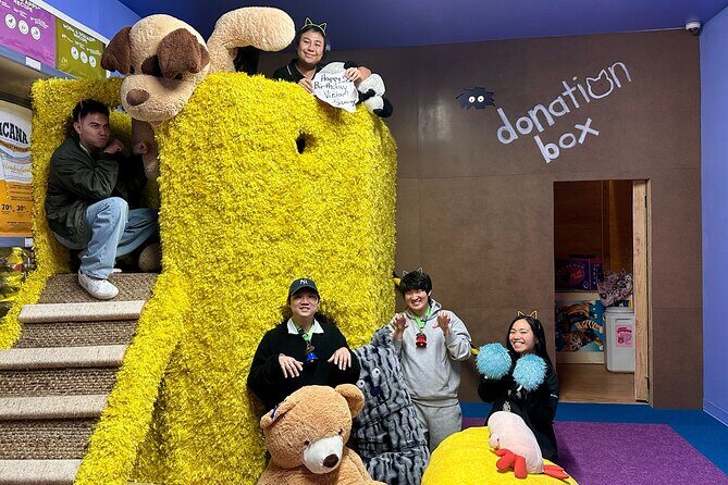 Family Cat Adventure Escape Room - Value and Pricing