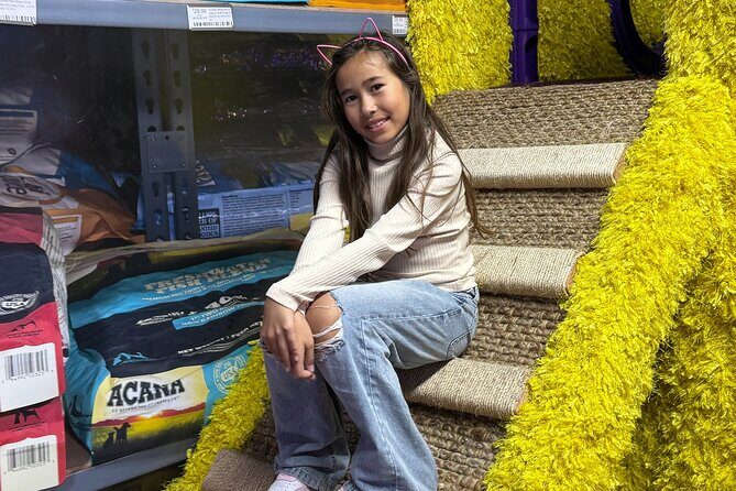 Family Cat Adventure Escape Room - Potential Drawbacks