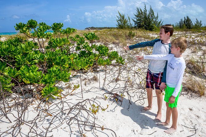 Family Catamaran & Snorkeling Cruise Turks & Caicos - FAQ