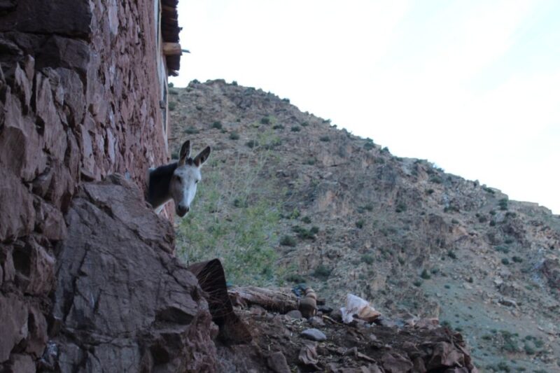 Family Day Trip From Marrakech to Imlil Atlas Mountains - Discovering the Imlil Atlas Mountains