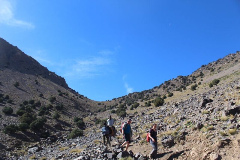 Family Day Trip From Marrakech to Imlil Atlas Mountains - Stop at the Argan Oil Cooperative