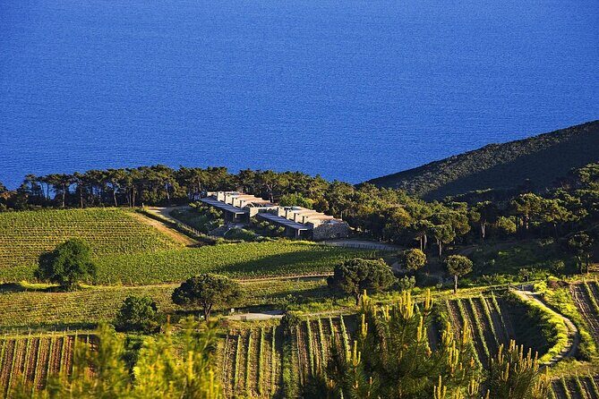 Family E-Bike Tour in the Costa dei Gabbiani Nature Reserve - An In-Depth Look at the Tour Experience