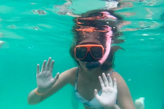 Family Friendly Snorkeling and Dolphin Tour - What to Expect