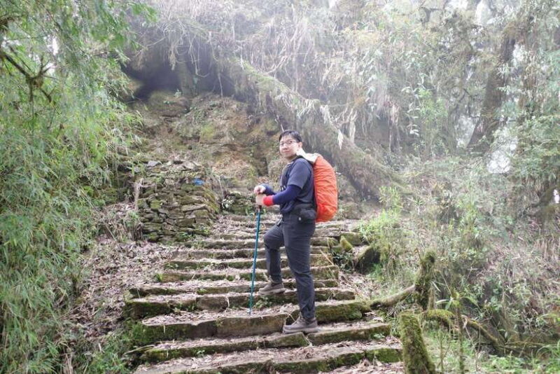 Family-Friendly Trekking: 3 Days Dhampus and Australian Camp - The Itinerary: Step-by-Step Breakdown