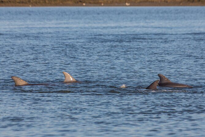 Family Fun Day - Final Thoughts