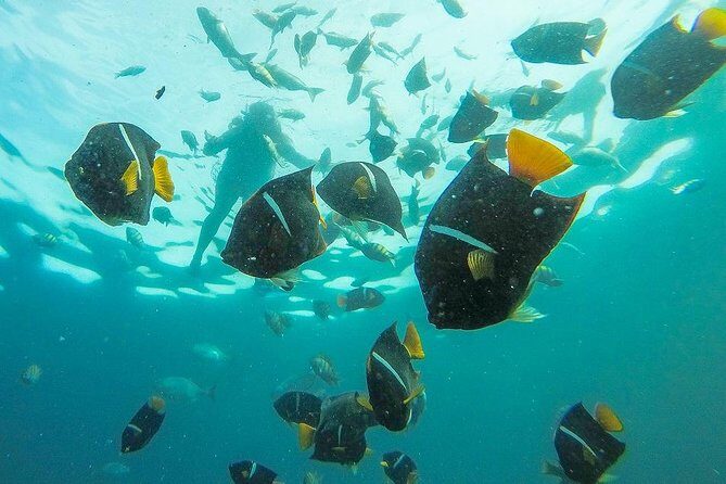 Family Fun in the Sun on a real Wooden Pirate Ship - Practical Considerations