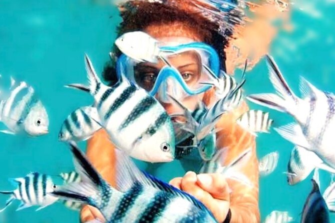 Family Fun-Snorkeling Activity in Montego Bay W/Lunch Stop - Whats Included in the Tour