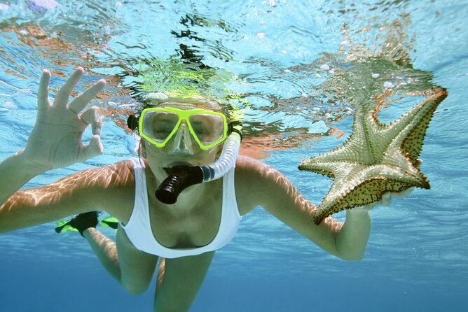 Family Fun-Snorkeling Activity in Montego Bay W/Lunch Stop - Pickup Process Explained