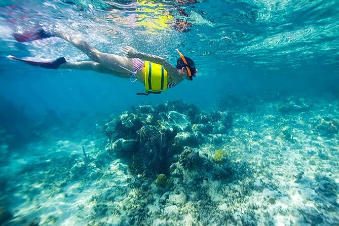 Family Fun-Snorkeling Activity in Montego Bay W/Lunch Stop - Highlights From Guest Reviews