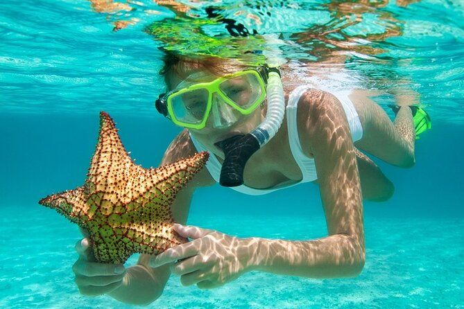 Family Fun-Snorkeling Activity in Montego Bay W/Lunch Stop - Tips for a Great Day