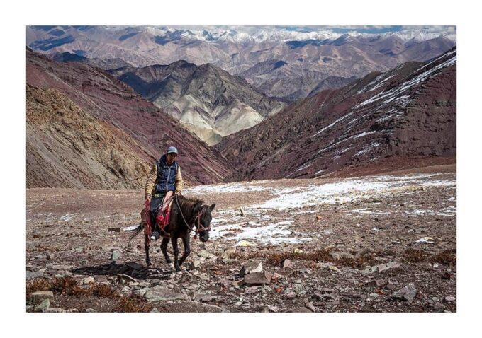 Family Langtang Valley Horseback Riding Trek - Safety Tips and Guidelines