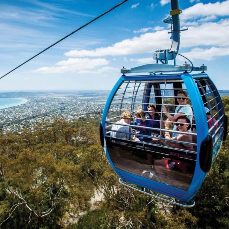 Family Lunch and Arthurs Seat Eagle for 2 Adults and 2 kids - Why This Tour Works Well