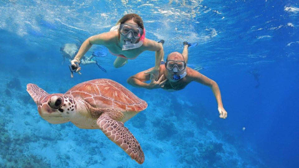 Family or Group Sunset Picnic Snorkeling at Menjangan Island - Snorkeling Spots