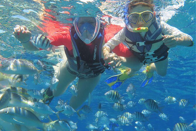 Family Snorkeling Adventure Punta Cana - A Closer Look at the Experience