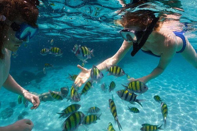 Family Snorkeling Adventure Punta Cana - FAQ