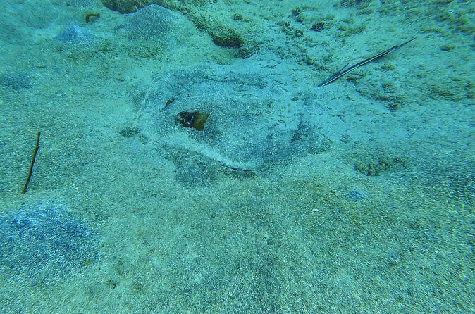 Family Snorkeling Tour - Authentic Experiences and Recent Reviews