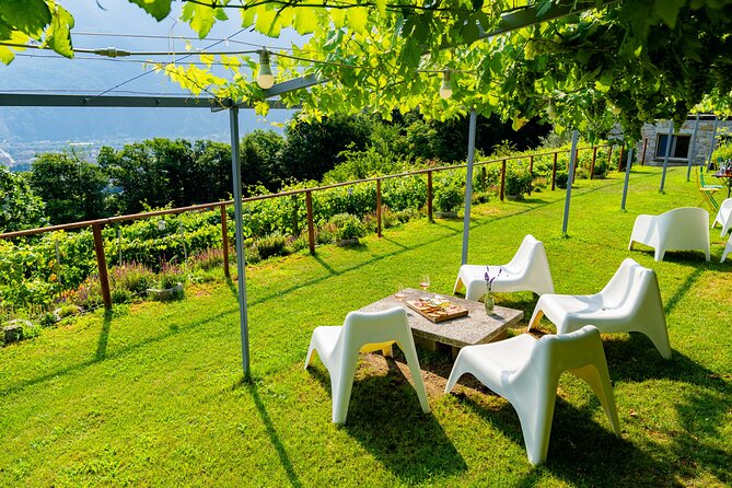 Family Tasting - a Little Tasting - Pricing and Availability
