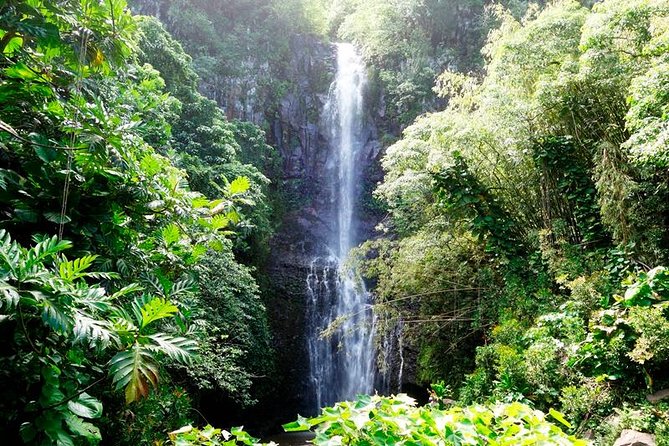 Famous Road to Hana Mercedes Van With Waterfalls, Black Sand Beach & Lunch - Booking Information