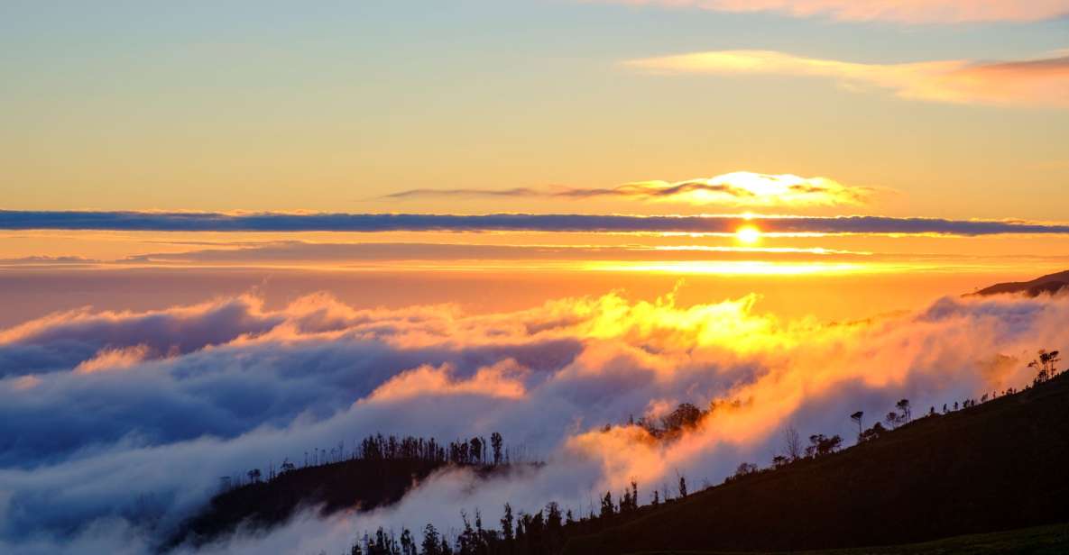Fanal Forest Exploration Tour + Sunset With Food and Drinks - Pickup and Drop-off Locations
