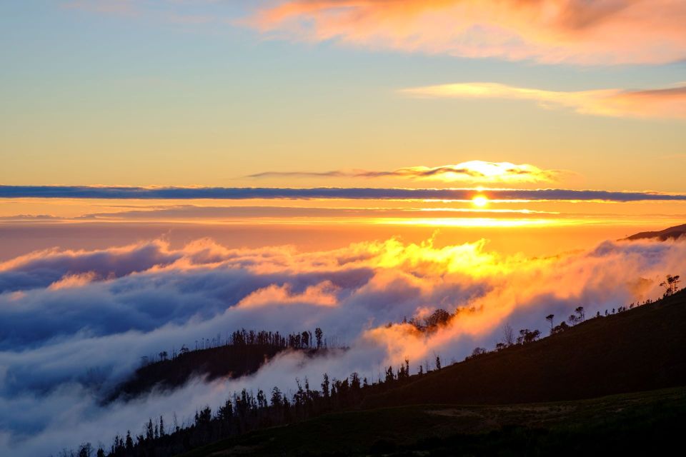Fanal Forest Exploration Tour + Sunset With Food and Drinks - Itinerary and Timings
