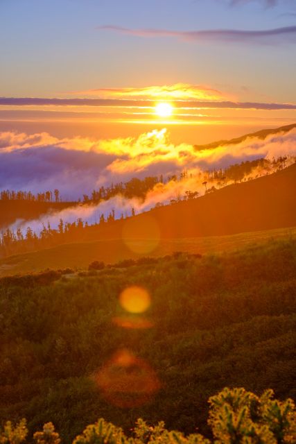 Fanal Forest Exploration Tour + Sunset With Food and Drinks - Local Food and Drinks