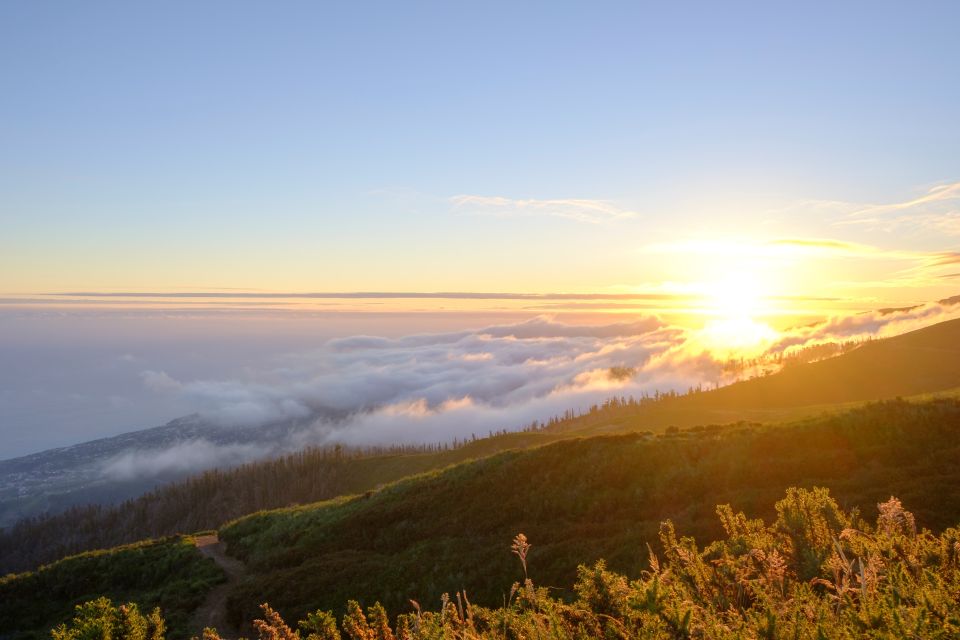 Fanal Forest Exploration Tour + Sunset With Food and Drinks - Sunset Viewing