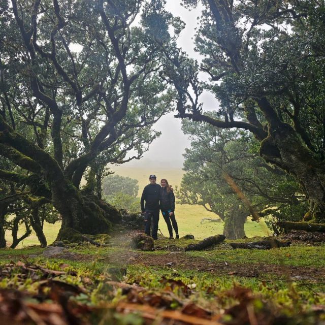 Fanal Tour by Overland Madeira - Key Points