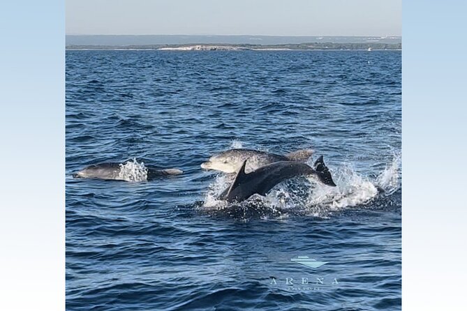 Fantastic DOLPHIN & SUNSET TOUR With Dinner (Pula - NP Brijuni) - Boat Tour and Crew