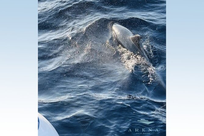 Fantastic DOLPHIN & SUNSET TOUR With Dinner (Pula - NP Brijuni) - Wireless Internet on Board